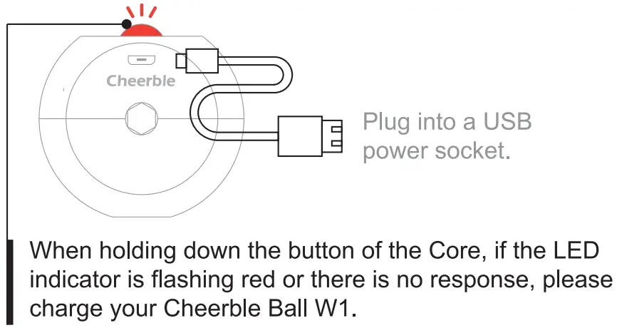 Cheerble Ball instruction