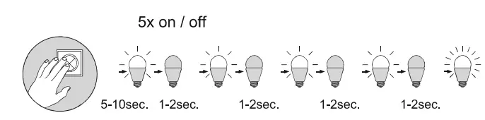 Paul-Neuhaus-8410-55-Q-Vito-LED-Pendant-Light-FIG-8