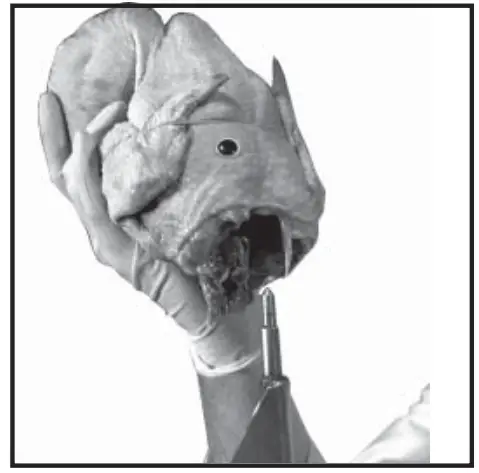 Old Hickory N-6.5G Barbecue Countertop Rotisserie - fig 12