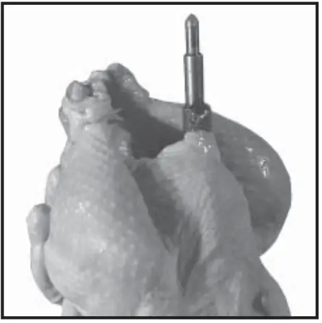 Old Hickory N-6.5G Barbecue Countertop Rotisserie - fig 14