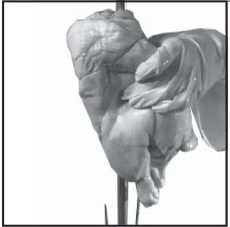 Old Hickory N-6.5G Barbecue Countertop Rotisserie - fig 19