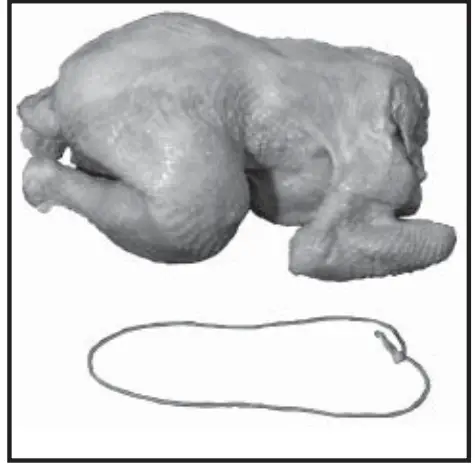 Old Hickory N-6.5G Barbecue Countertop Rotisserie - fig 2