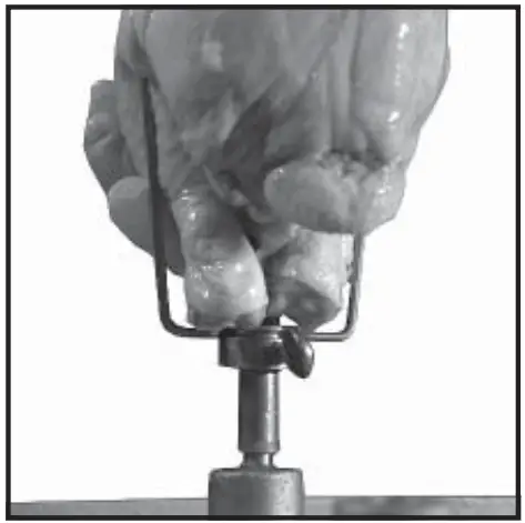 Old Hickory N-6.5G Barbecue Countertop Rotisserie - fig 20