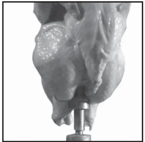 Old Hickory N-6.5G Barbecue Countertop Rotisserie - fig 21