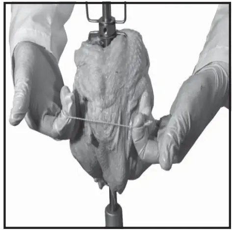 Old Hickory N-6.5G Barbecue Countertop Rotisserie - fig 23