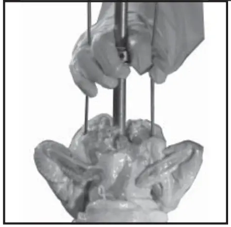 Old Hickory N-6.5G Barbecue Countertop Rotisserie - fig 25