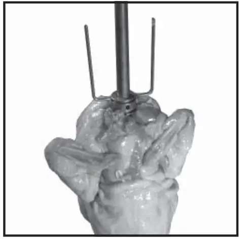 Old Hickory N-6.5G Barbecue Countertop Rotisserie - fig 26