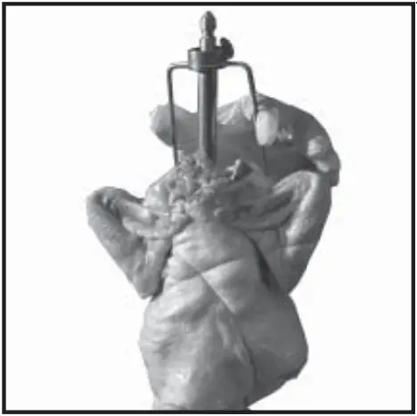 Old Hickory N-6.5G Barbecue Countertop Rotisserie - fig 28