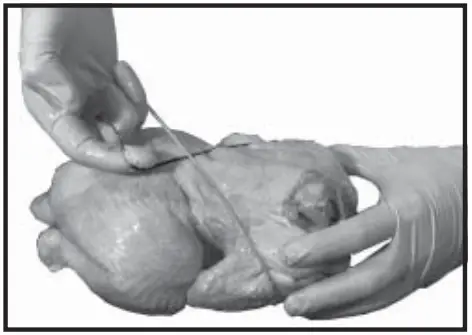 Old Hickory N-6.5G Barbecue Countertop Rotisserie - fig 4