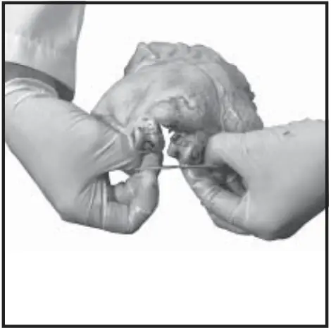 Old Hickory N-6.5G Barbecue Countertop Rotisserie - fig 5