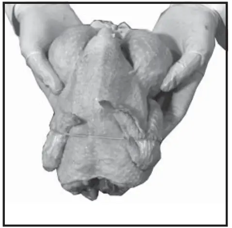 Old Hickory N-6.5G Barbecue Countertop Rotisserie - fig 7