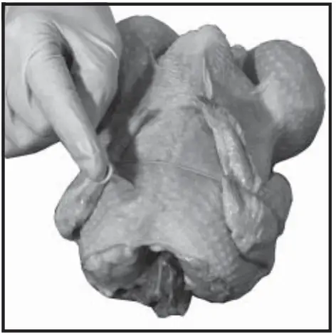 Old Hickory N-6.5G Barbecue Countertop Rotisserie - fig 8