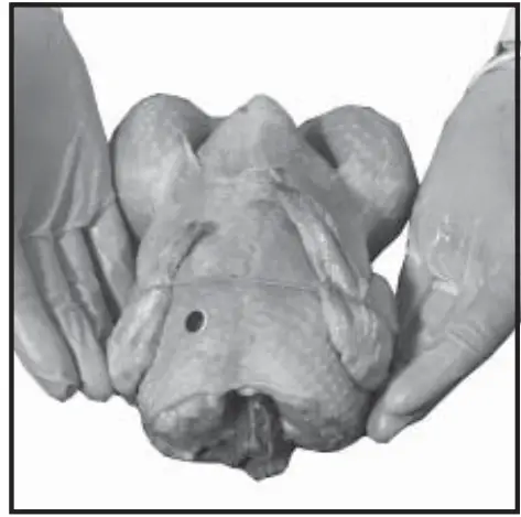 Old Hickory N-6.5G Barbecue Countertop Rotisserie - fig 9