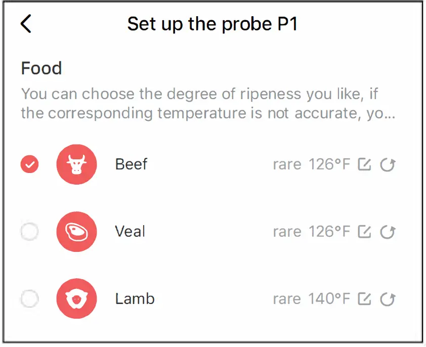 RAZORRI-516-070-201-Smart-Meat-Thermometer-FIG- (14)