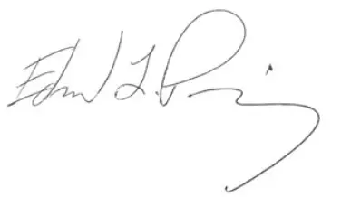 HILTI PM 4 M Multi Line and Point Laser -SING 1