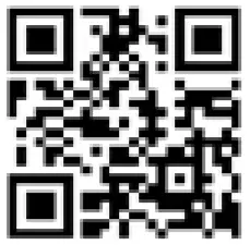 Shark HH200 Series UltraLight Corded Handheld -QR