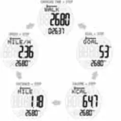 Homedics PDM-200 3D Deluxe Pedometer - FORMULA