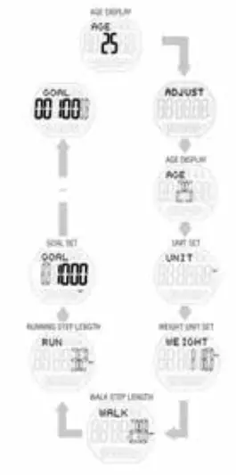 Homedics PDM-200 3D Deluxe Pedometer - SETTING USER INFORMATION