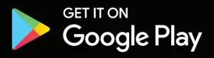 Google Store Icon