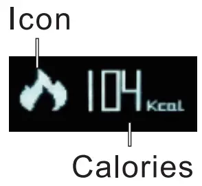 Calories Interface
