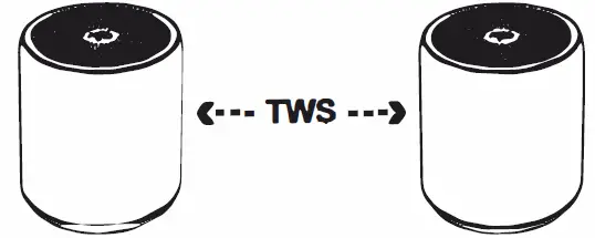 Pure-Hyper Audio CR-100 SW Bluetooth Wireless Speaker FIG 1