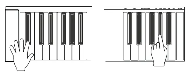 PIANO KEY TOUCH SENSITVITY