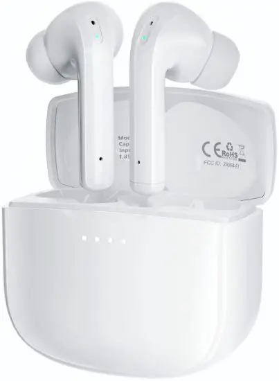 Fitpolo F1 Bluetooth Earbuds