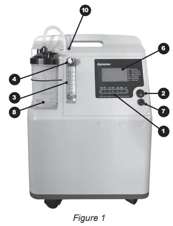 Structures and Functions
