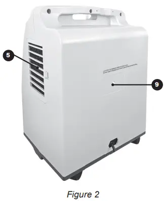 Structures and Functions