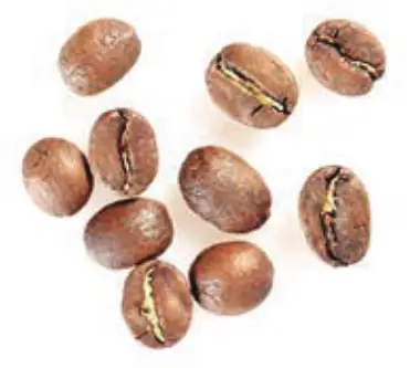 THE LONDON SIP EM10S Stainless Steel Stovetop Espresso Maker - Fig 1