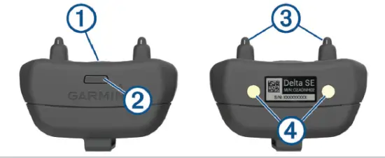 GARMIN Delta SE Handheld and Dog Training Collar 2