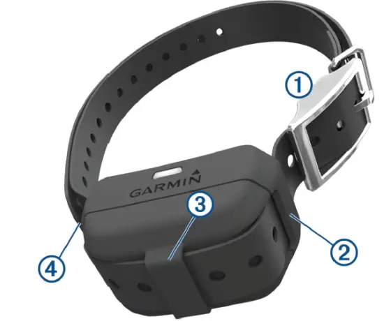 GARMIN Delta SE Handheld and Dog Training Collar 3