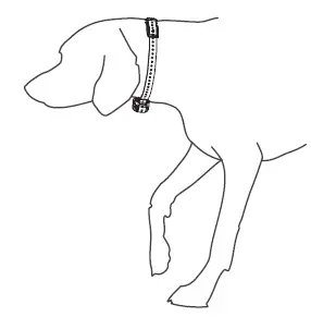 GARMIN Delta SE Handheld and Dog Training Collar 6