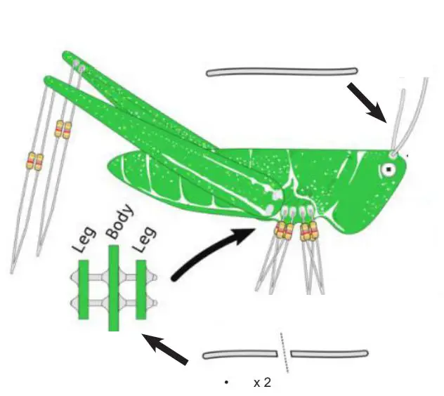 velleman WSAK207 Whadda The Conehead User Manual - How to use