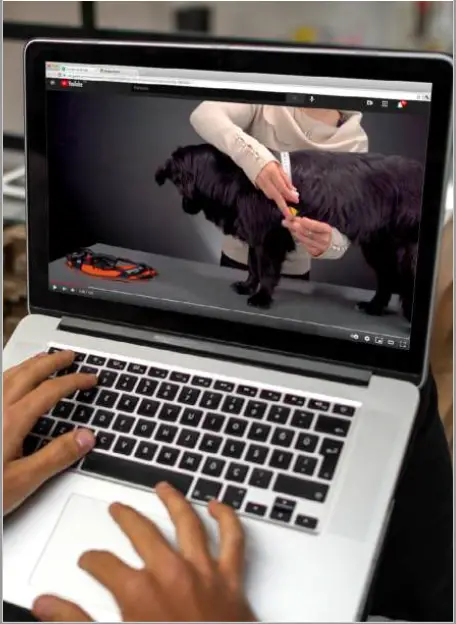 JK9-IDC-Power-Harness-FIG-1