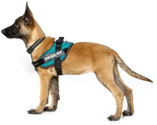 JK9-IDC-Power-Harness-PRODUCT