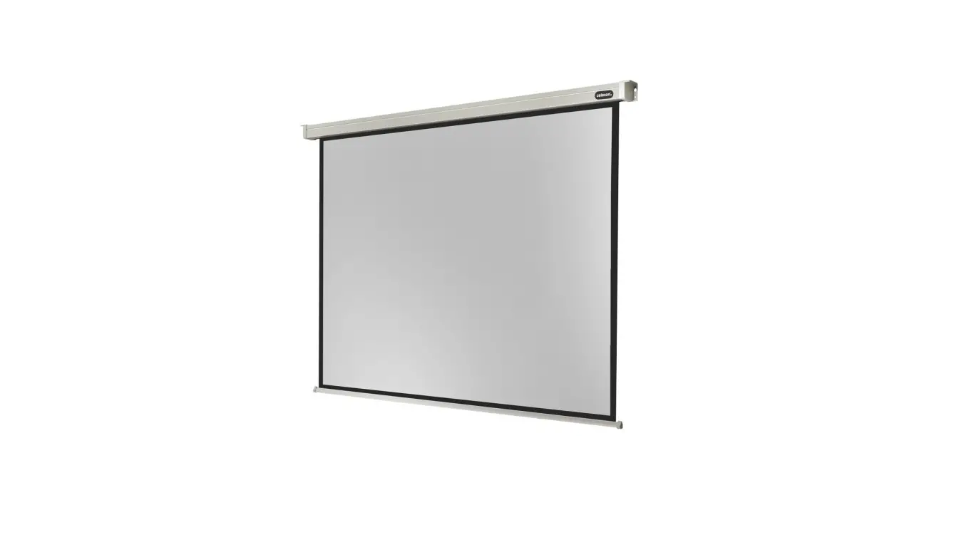 Celexon Pro 32422 Electric Professional Screen Instruction Manual Celexon Pro 32422 Electric Professional Screen Instruction Manual