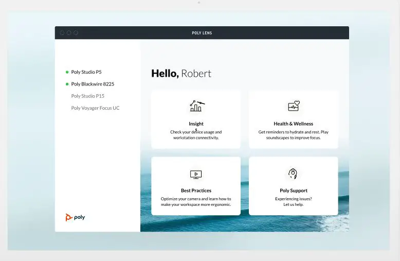poly-Voice-Software-PRODUCT