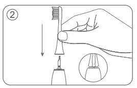Lebooo LBC 0001A Smart Sonic Toothbrush - fig 1