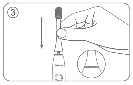 Lebooo LBC 0001A Smart Sonic Toothbrush - fig 2