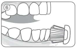 Lebooo LBC 0001A Smart Sonic Toothbrush - fig 5