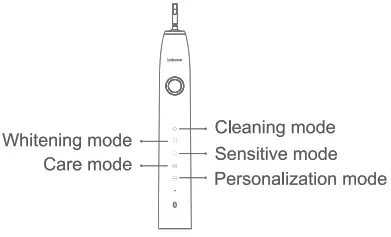 Lebooo LBC 0001A Smart Sonic Toothbrush - strong stain
