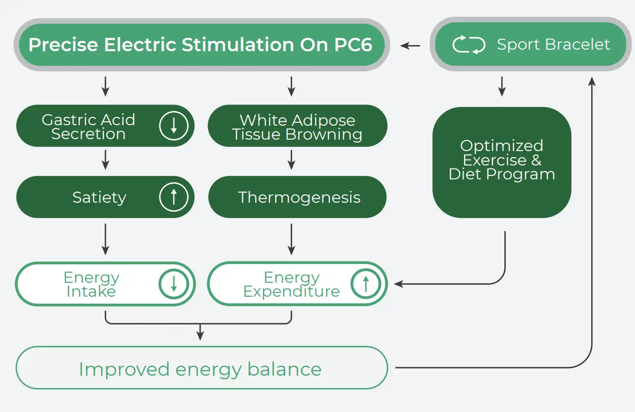 ObeEnd OE M600 Weight Loss Wristband - fig