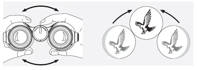 SWAROVSKI-34008-8.5x42-EL-Binoculars-7