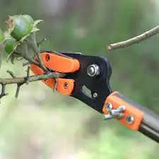Pruners Cut And Hold Telescopic Long Arm Pruner Instructions