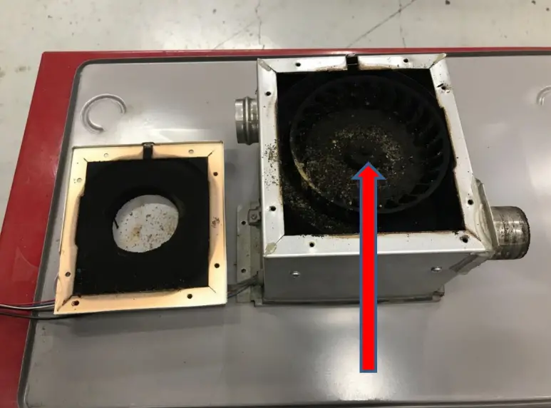 RURAL ENERGY L 56 Toyostove Laser Vented Heater - Assembly 1