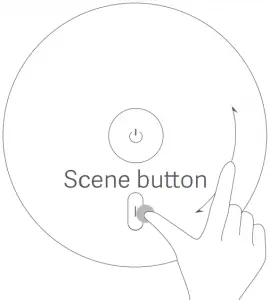 Scene button