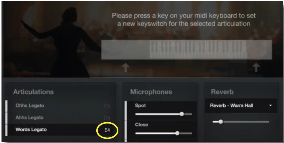 fluffyAUDIO-Simple-Opera-Singer-fig-3