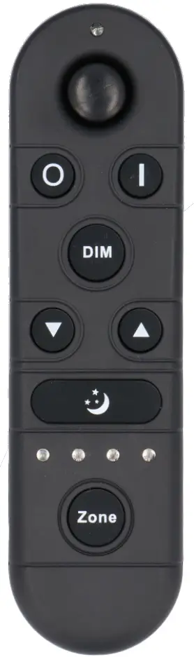 HOFTRONIC ITL R-4 2 4 GHZ Remote Control