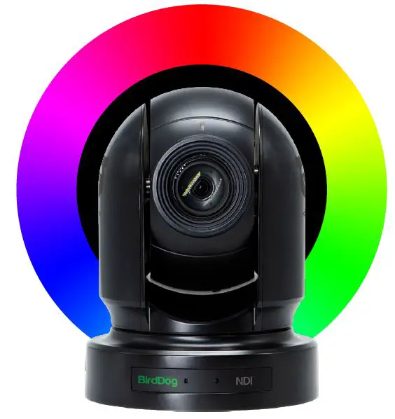 Birddog Eyes P200 User Guide